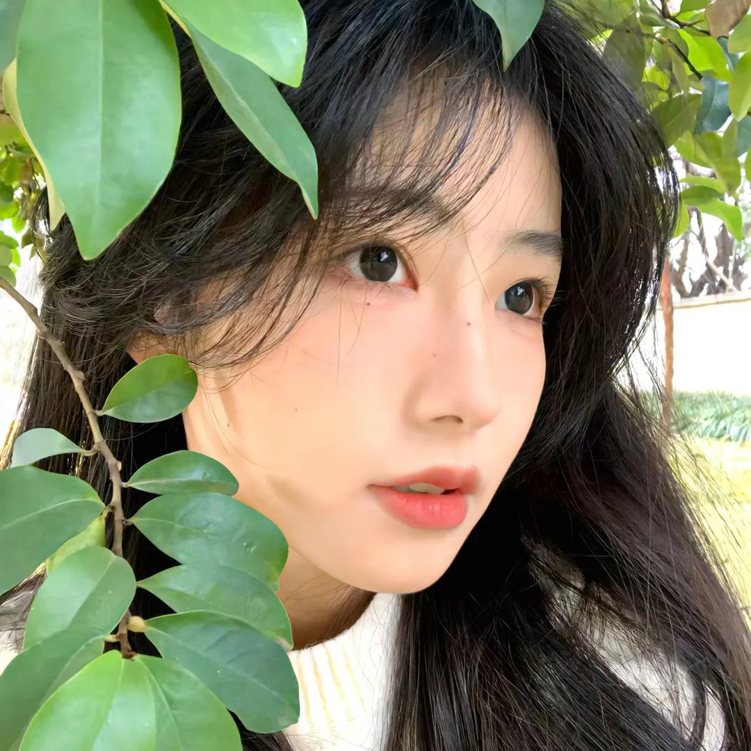 探寻鲸之音